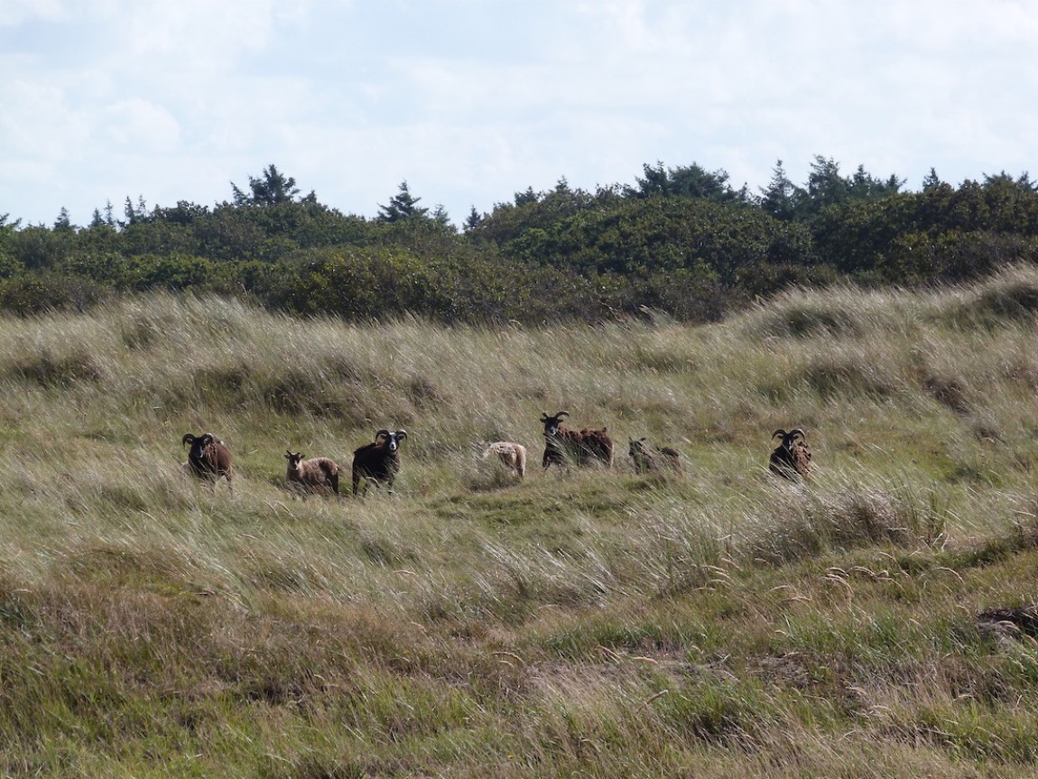 Vier het festival van de natuur!