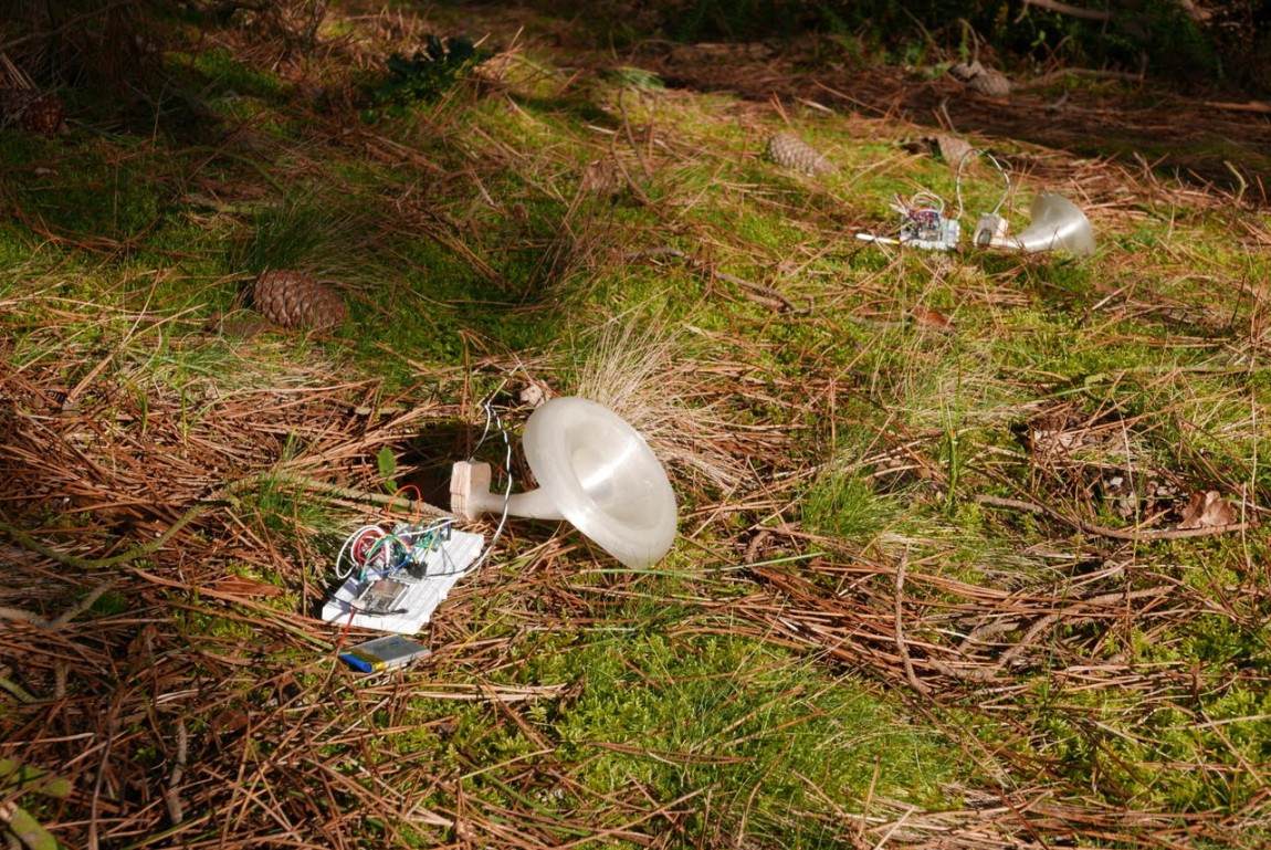 Het Komorebi wezen ontpopt zich op Vlieland