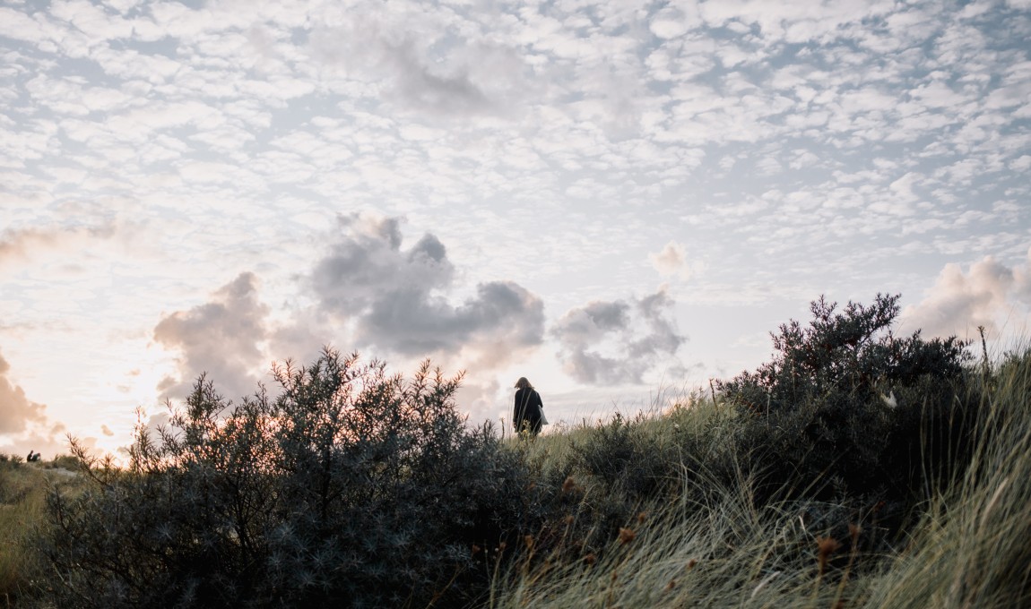 Into The Great Wide Open: Let It Happen gaat niet door