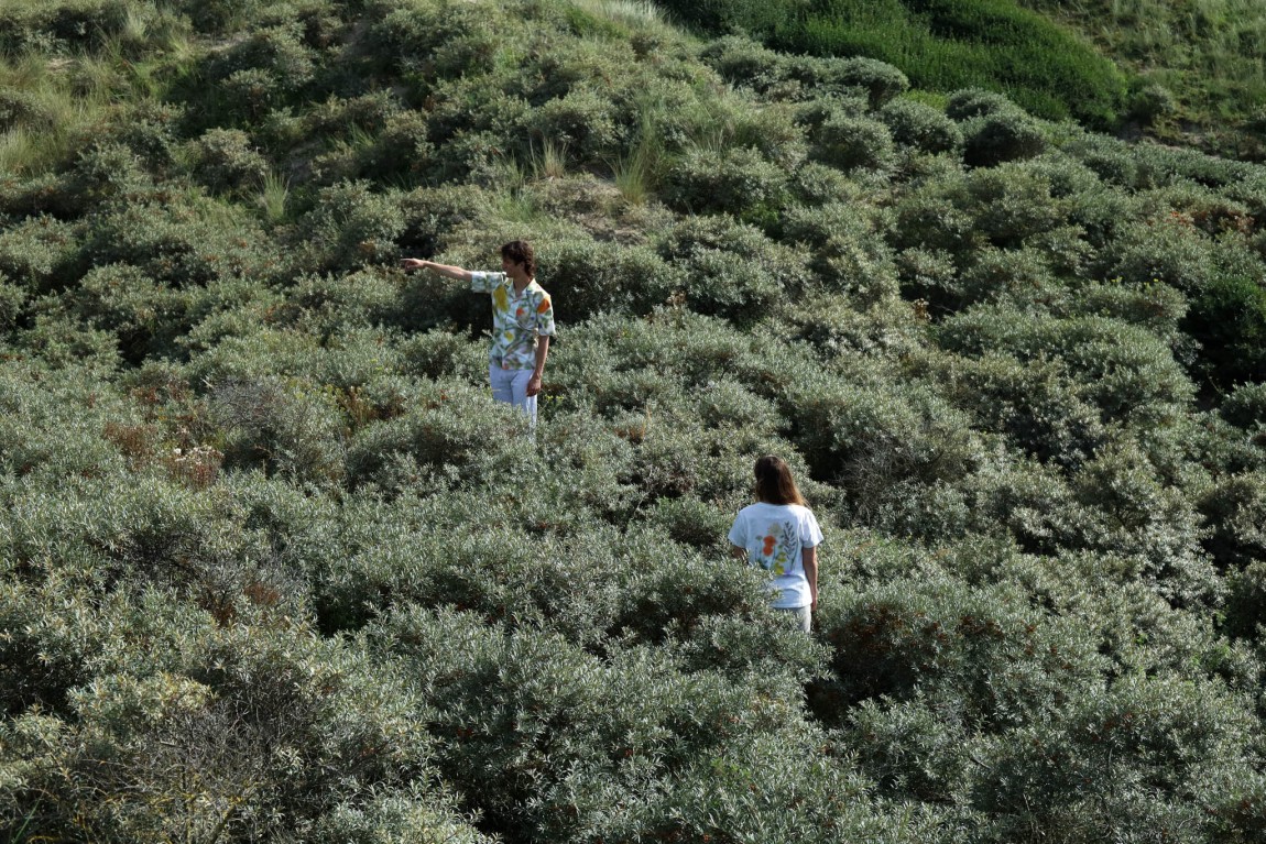 Een bloemenzee op katoen