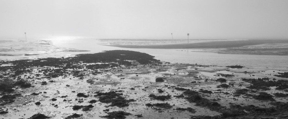 panoramafoto wadden zwart-wit